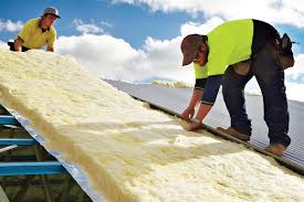 Best Attic Insulation Installation  in Lake Dallas, TX