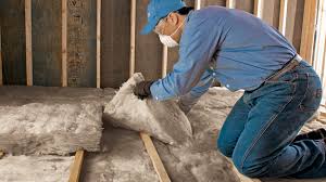 Best Blown-In Insulation  in Lake Dallas, TX