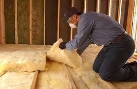 Best Insulation for New Construction  in Lake Dallas, TX