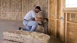 Best Attic Insulation Installation  in Lake Dallas, TX