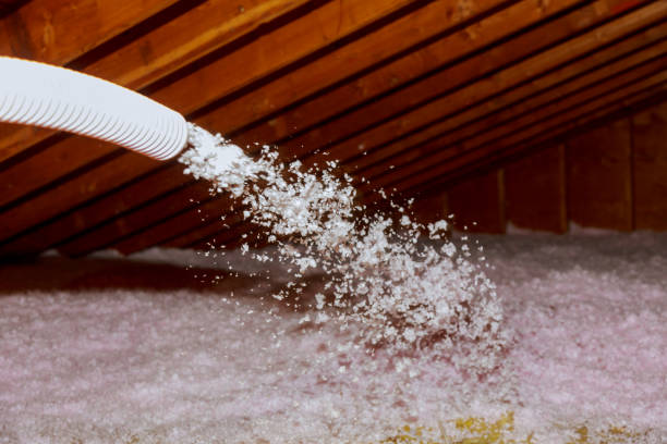 Types of Insulation We Offer in Lake Dallas, TX