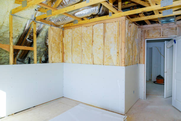 Best Radiant Barrier Insulation  in Lake Dallas, TX