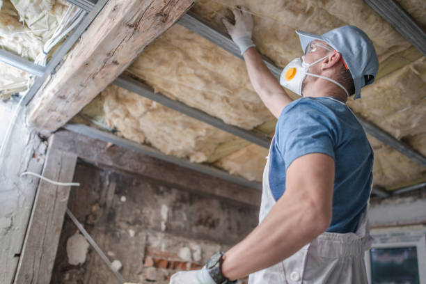 Best Attic Insulation Installation  in Lake Dallas, TX