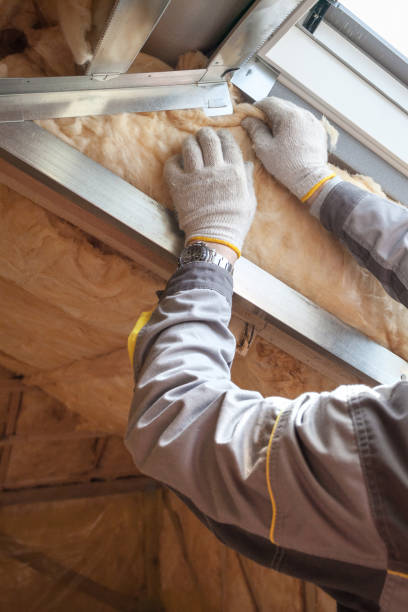 Best Commercial Insulation Services  in Lake Dallas, TX