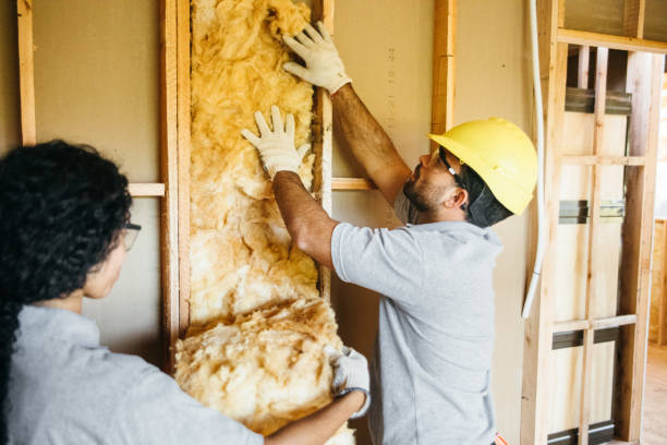 Best Insulation Air Sealing  in Lake Dallas, TX