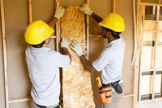 Best Batt and Roll Insulation  in Lake Dallas, TX