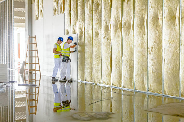 Best Basement Insulation  in Lake Dallas, TX